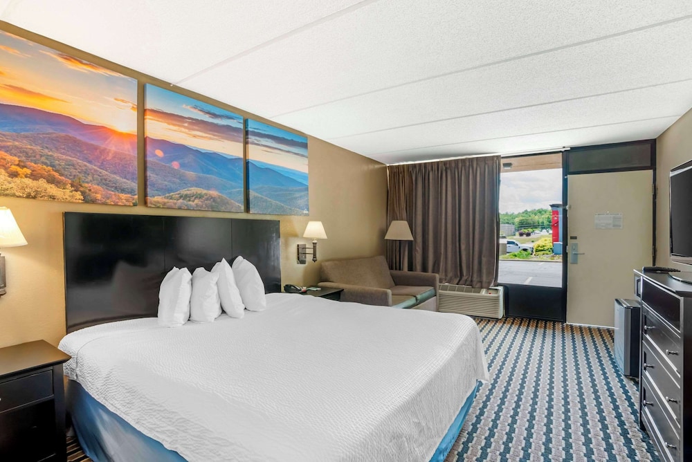 quality inn near speedway