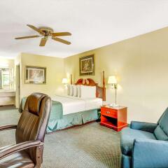 All-Movie Hotel,,3 star