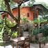 baannoi nornmuan homestay chiang mai