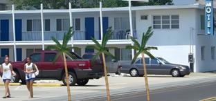 the vibes hotel trademark collection by wyndham