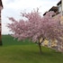 rhoner land