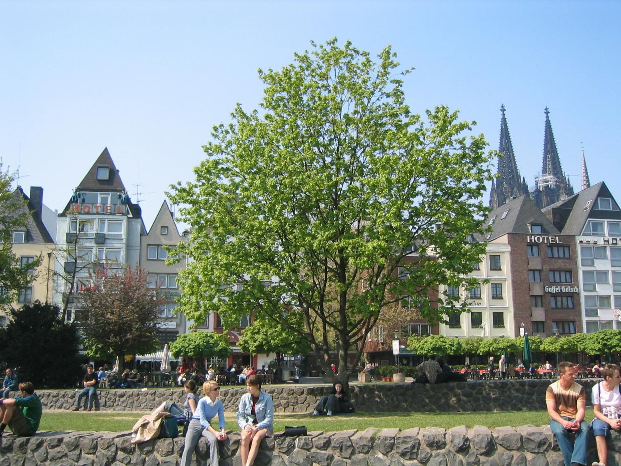 cologne