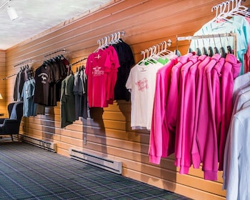 quality inn and suites munising