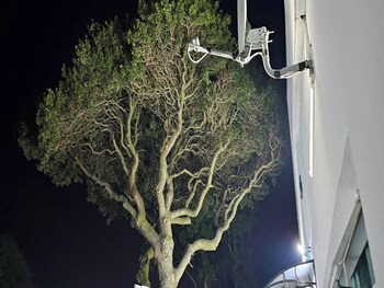 goshen lodge fitzroy