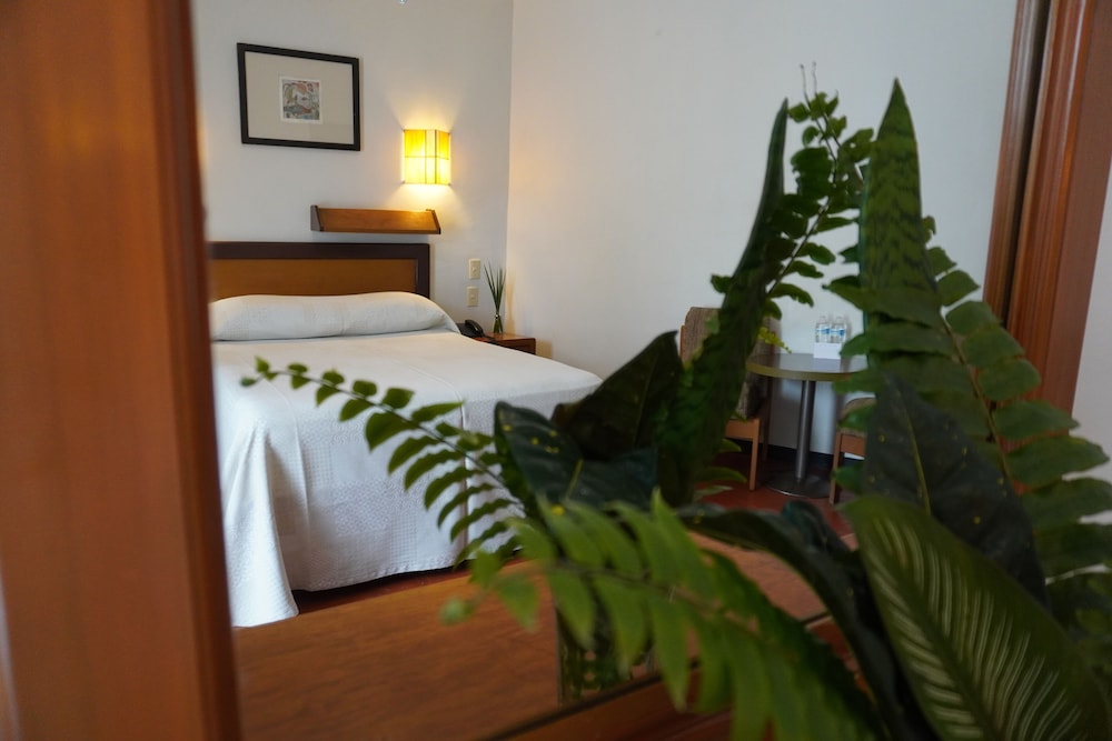 hotel ilebal cuernavaca centro