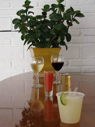 hotel ilebal cuernavaca centro