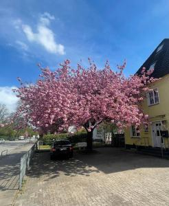 Hotel Villa Wandsbek,,3 star