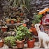 hostal international house cusco