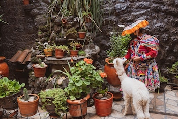 hostal international house cusco
