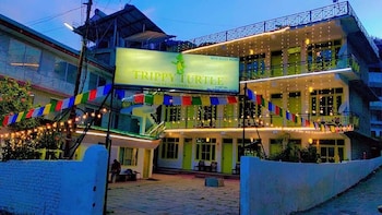 trippy turtle hostel