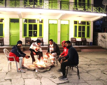 trippy turtle hostel