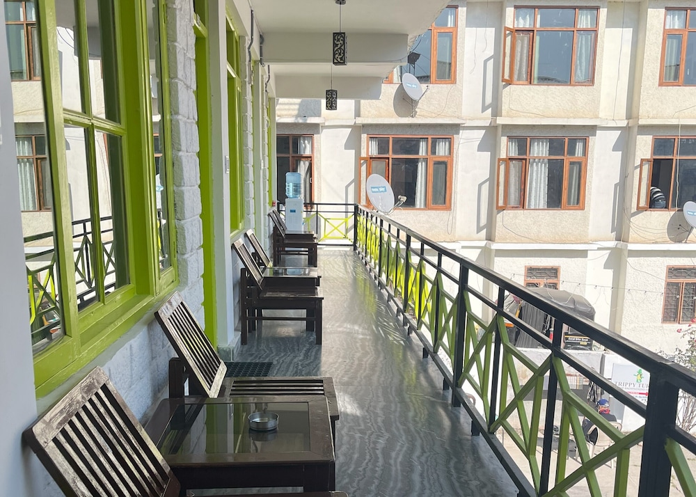trippy turtle hostel