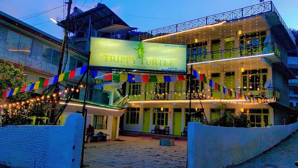 trippy turtle hostel
