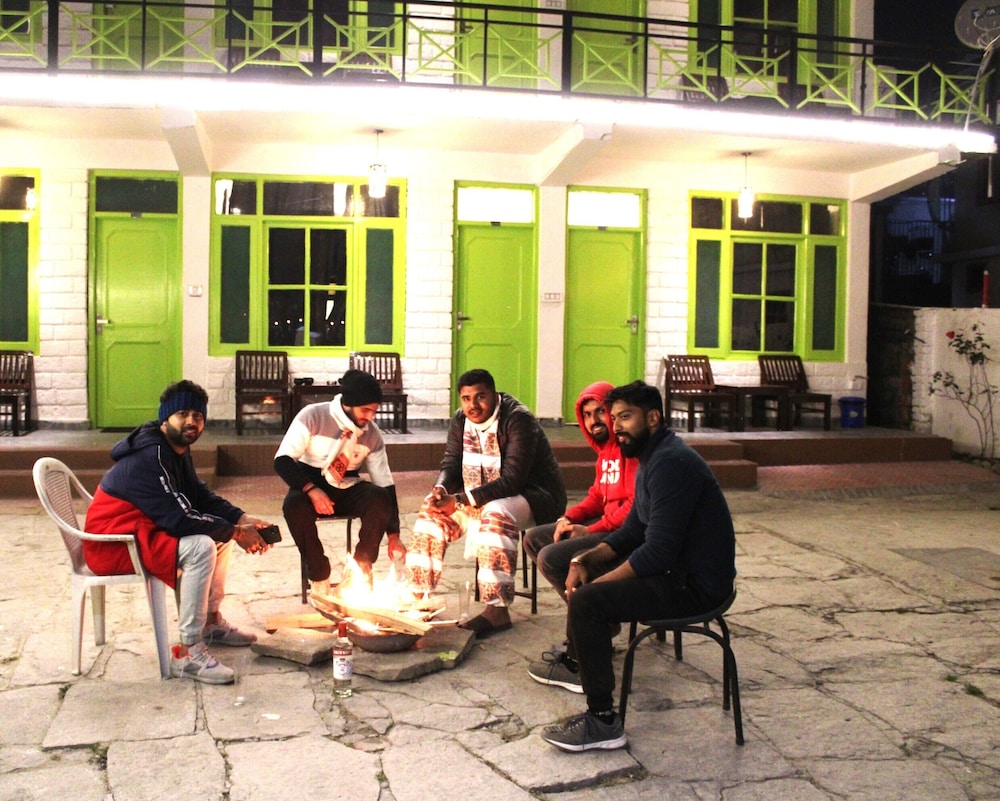 trippy turtle hostel