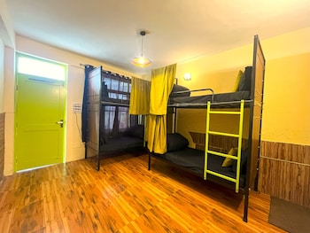 trippy turtle hostel
