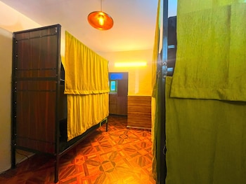 trippy turtle hostel