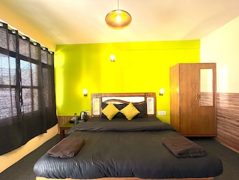 trippy turtle hostel