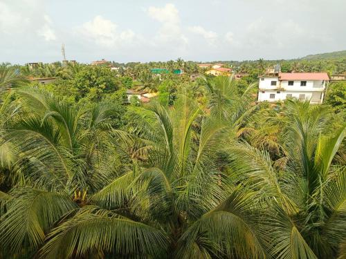 arambol paradise by pss properties