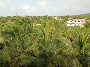 arambol paradise by pss properties