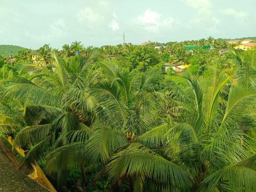 arambol paradise by pss properties