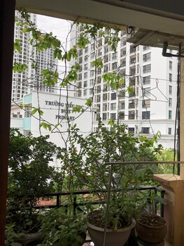 huong thuy guesthouse