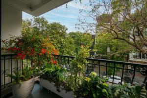 brilliant nature suites and spa