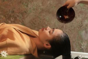 brilliant nature suites and spa