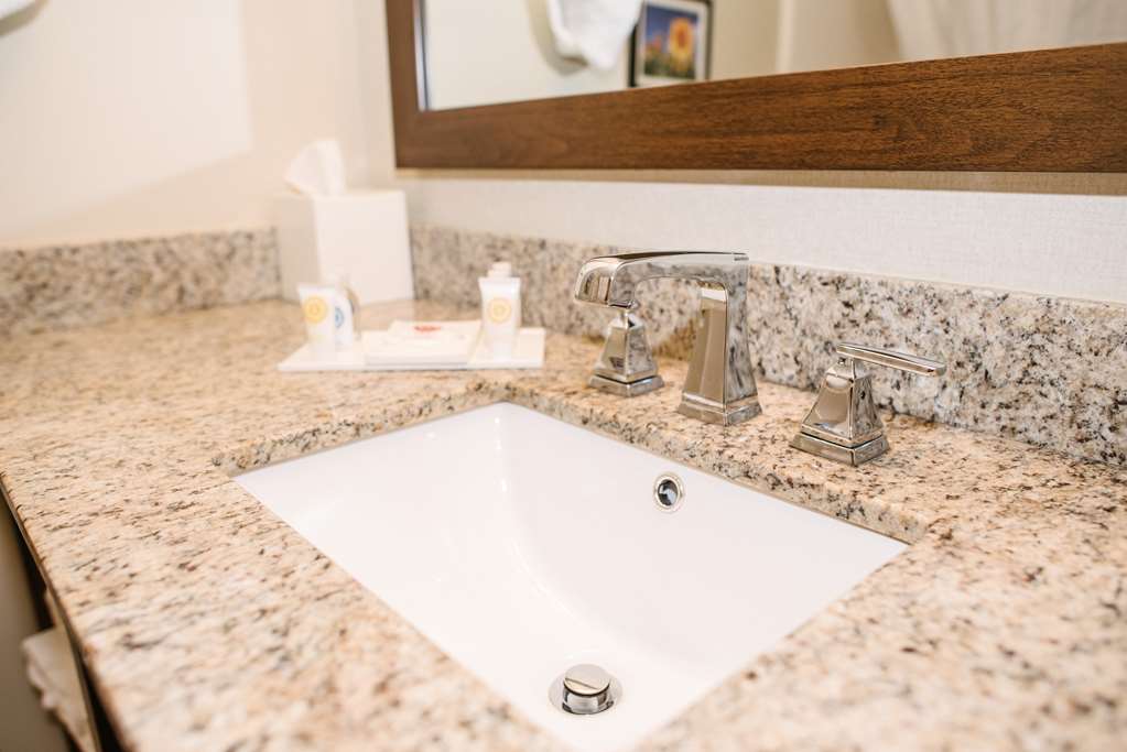 best western buffalo ridge inn