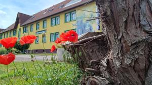 hotel wandersleben