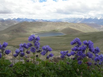 martsemik resort shachukul village