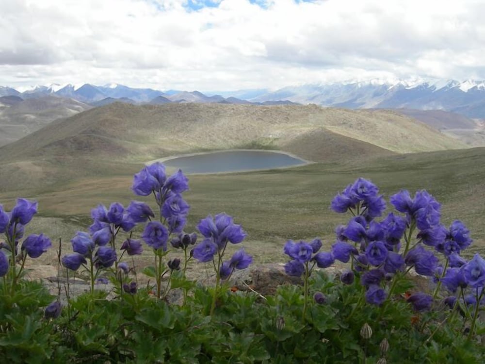 martsemik resort shachukul village