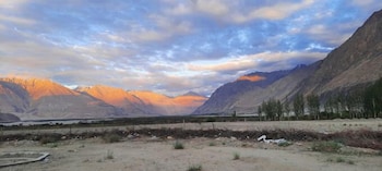 the eden resort nubra