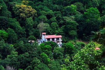 the springfields kandy