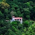 the springfields kandy