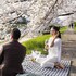 kamo residences by reflections