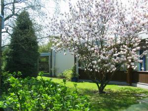 faches thumesnil