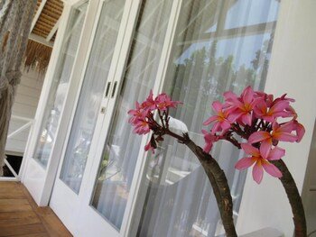 love coconut bungalow