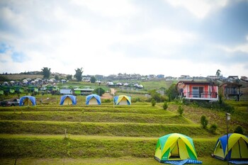 rai rak doi phutubberk
