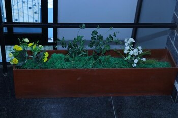 hotel siddhartha in lumbini