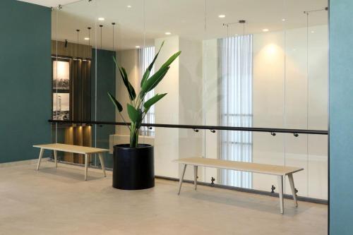 city express plus by marriott monterrey centro