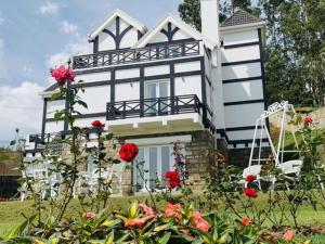 little england by joes