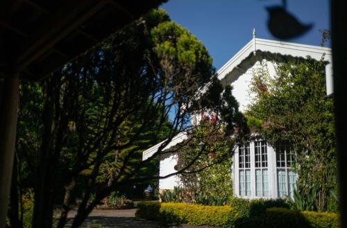 marlihill bungalow cgh earth