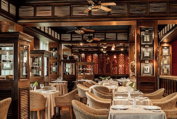 jungala park hotel at vidantaworld riviera maya