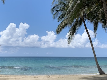 surya beach resort palawan