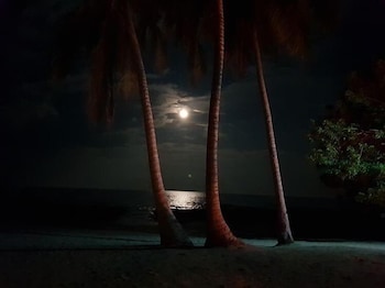 surya beach resort palawan