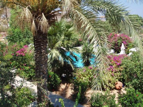livadia