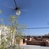 marrakech