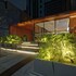 golden tower express nacoes unidas