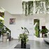serenity suites dangkor