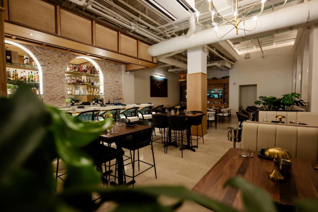 alma san juan adults only